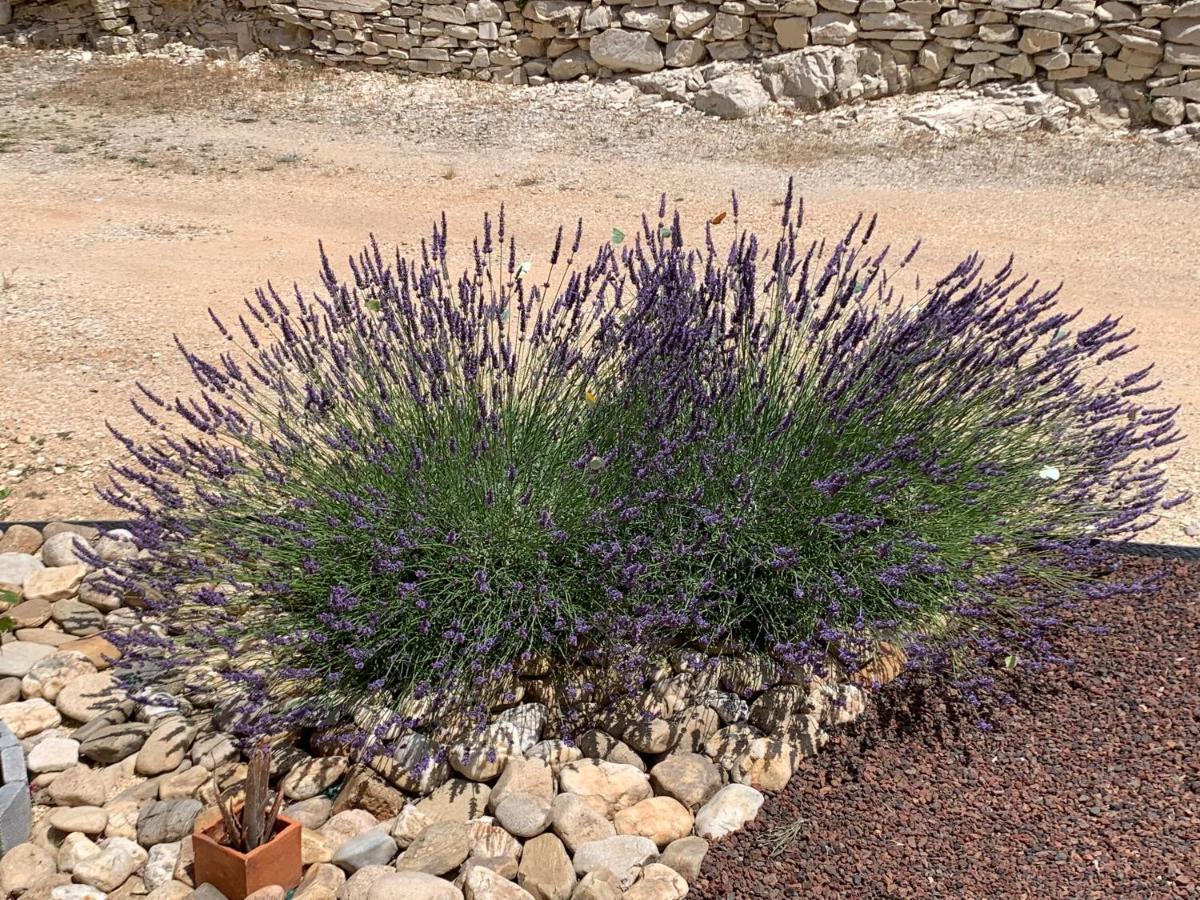 Au Fil Des Cevennes Bed & Breakfast Saint-Jean-de-Maruejols-et-Avejan ภายนอก รูปภาพ